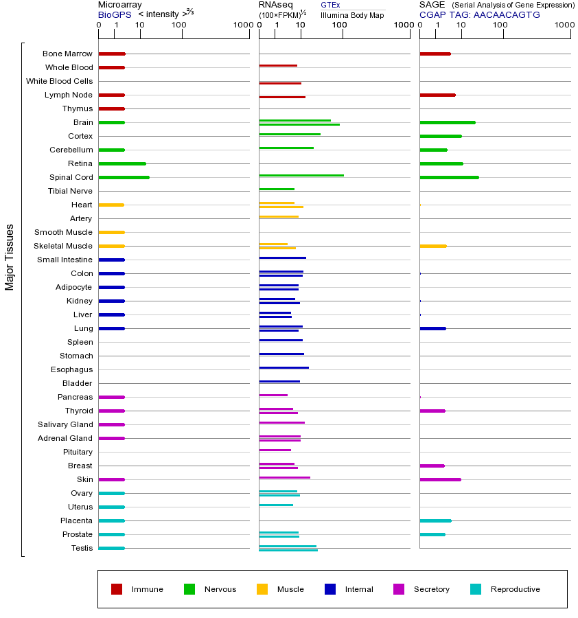 基因在不同组织中的表达图