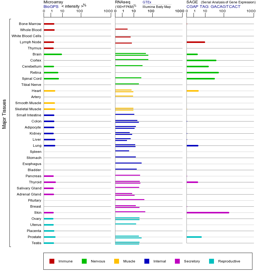 基因在不同组织中的表达图