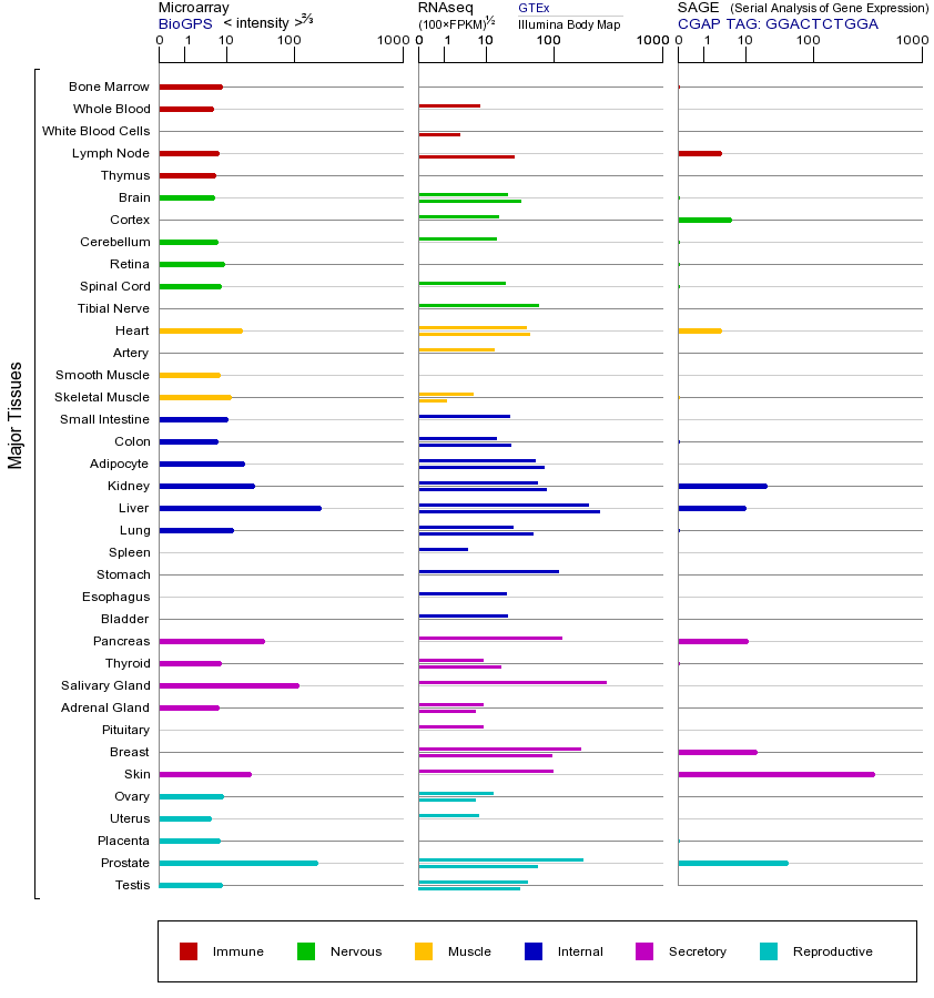 基因在不同组织中的表达图