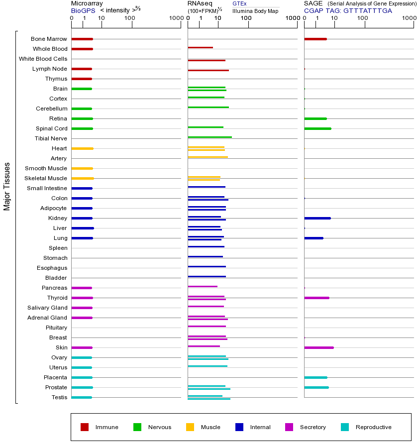 基因在不同组织中的表达图