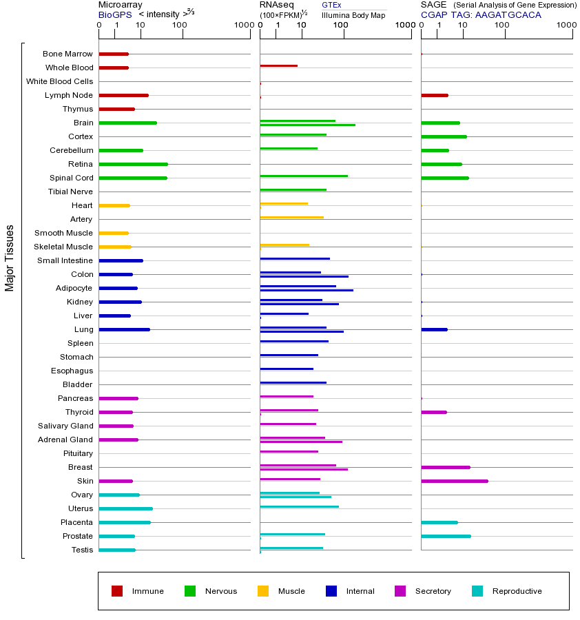 基因在不同组织中的表达图