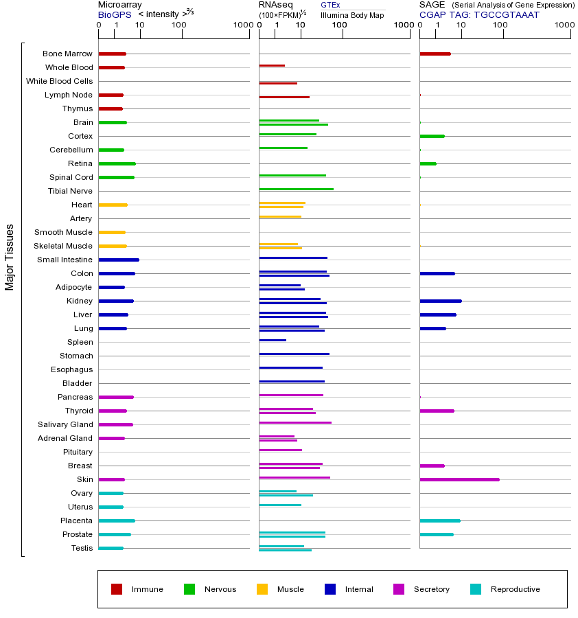 基因在不同组织中的表达图