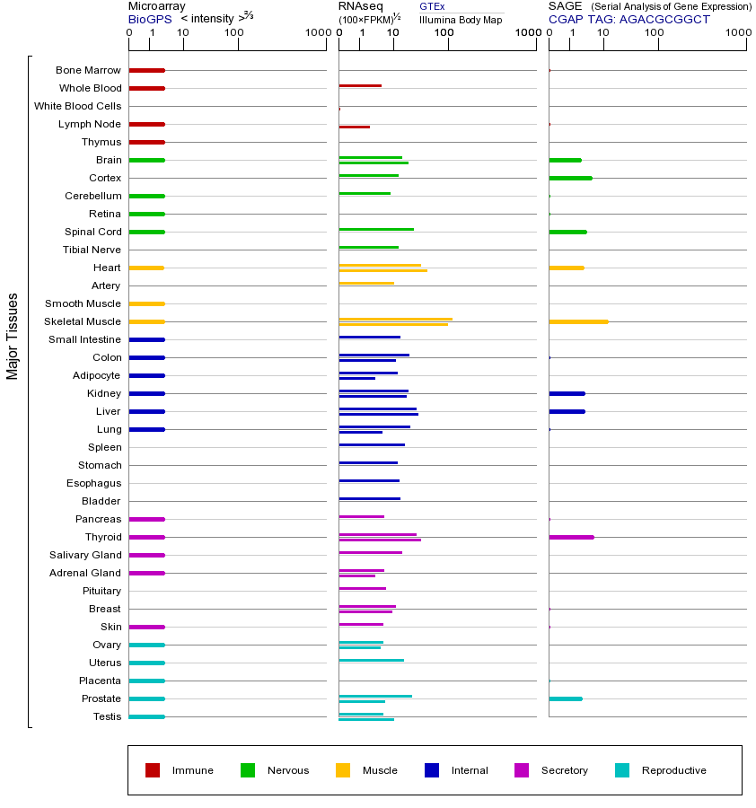 基因在不同组织中的表达图