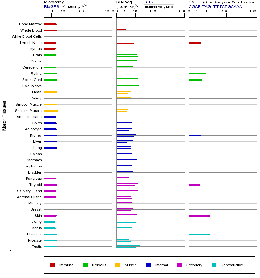 基因在不同组织中的表达图