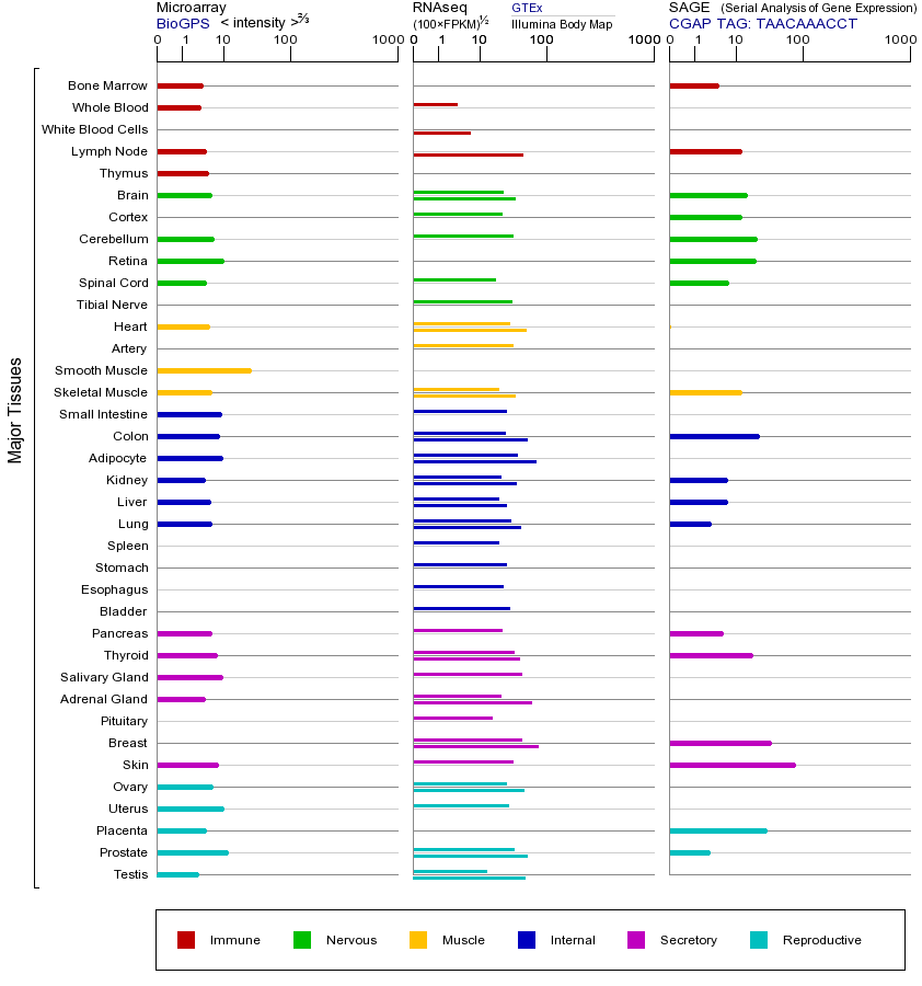 基因在不同组织中的表达图
