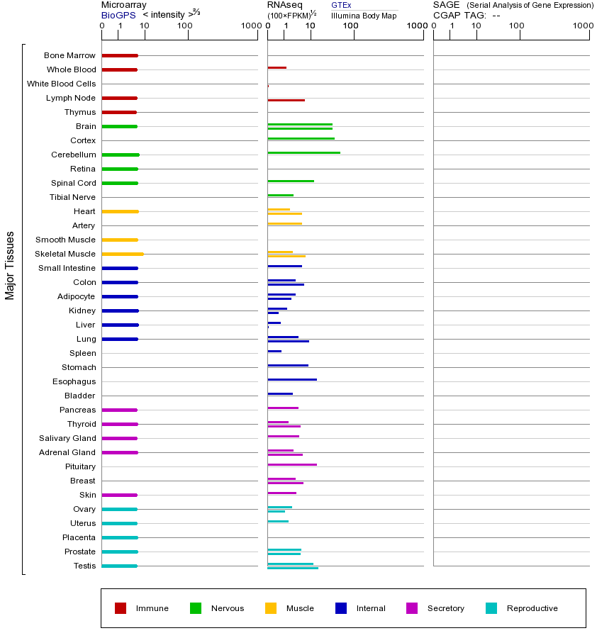 基因在不同组织中的表达图