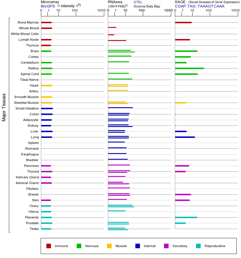 基因在不同组织中的表达图
