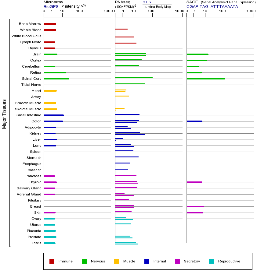 基因在不同组织中的表达图