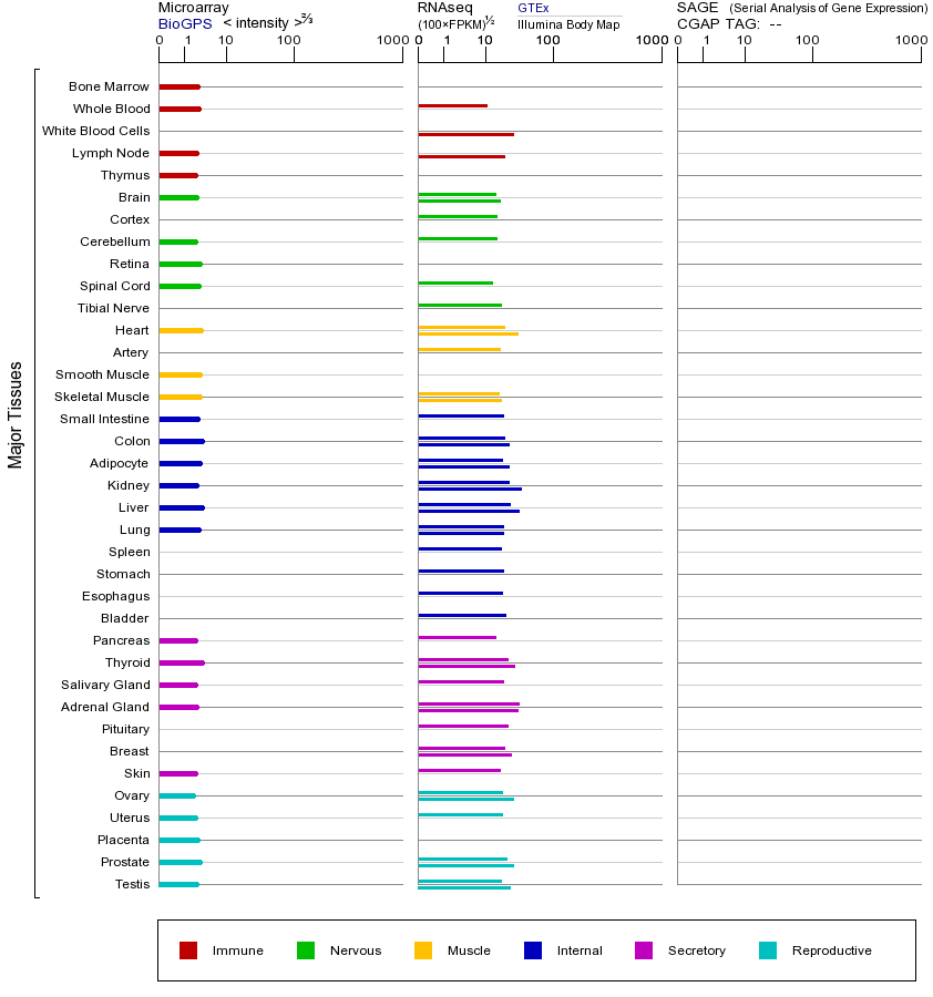 基因在不同组织中的表达图