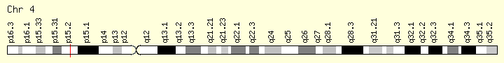 基因染色体位置图