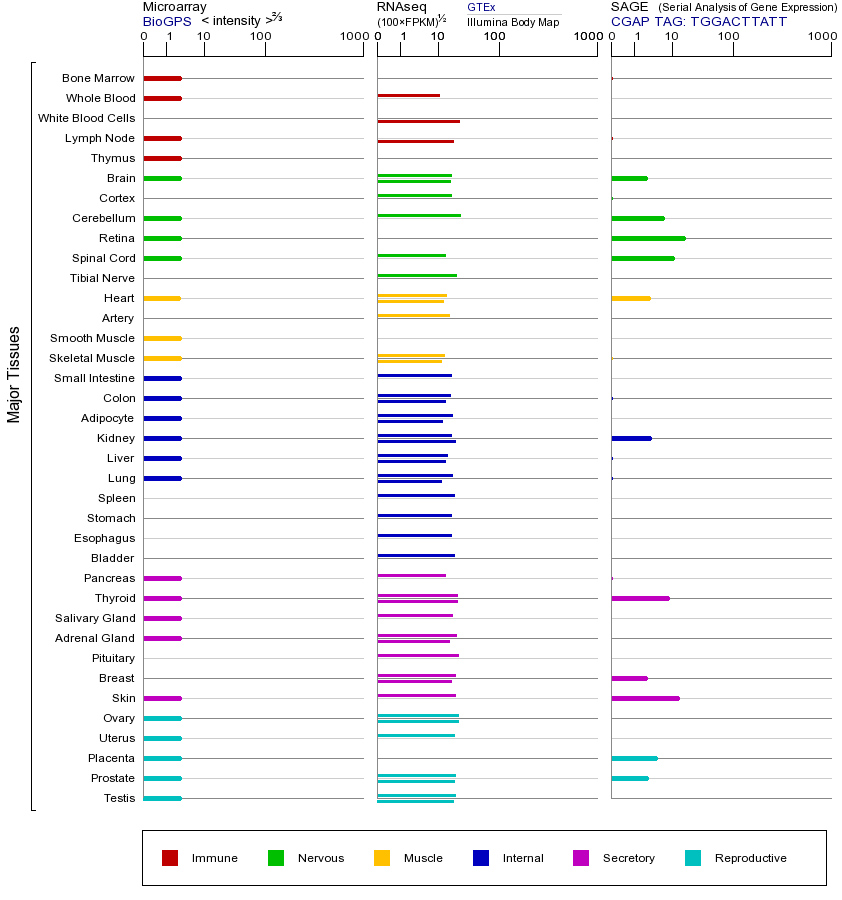 基因在不同组织中的表达图