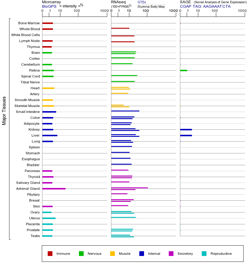 基因在不同组织中的表达图