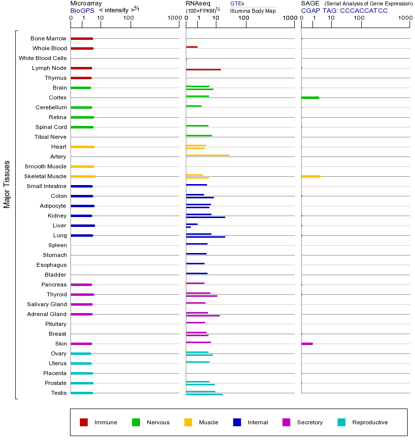 基因在不同组织中的表达图