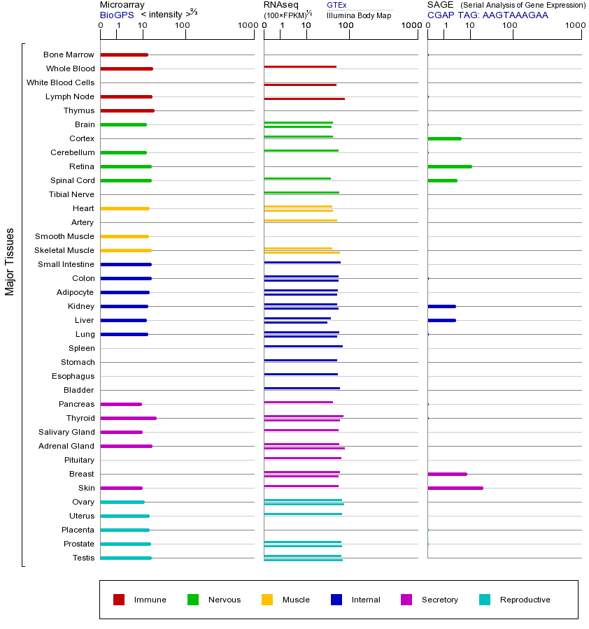 基因在不同组织中的表达图