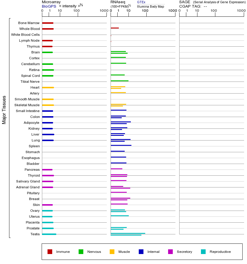 基因在不同组织中的表达图