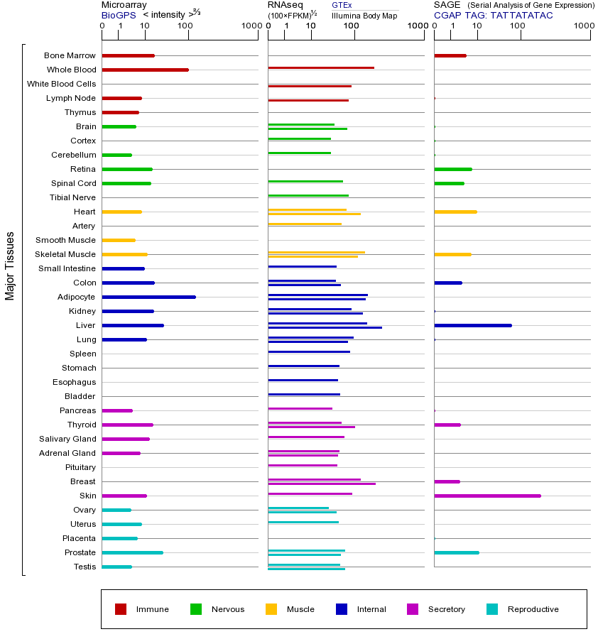 基因在不同组织中的表达图