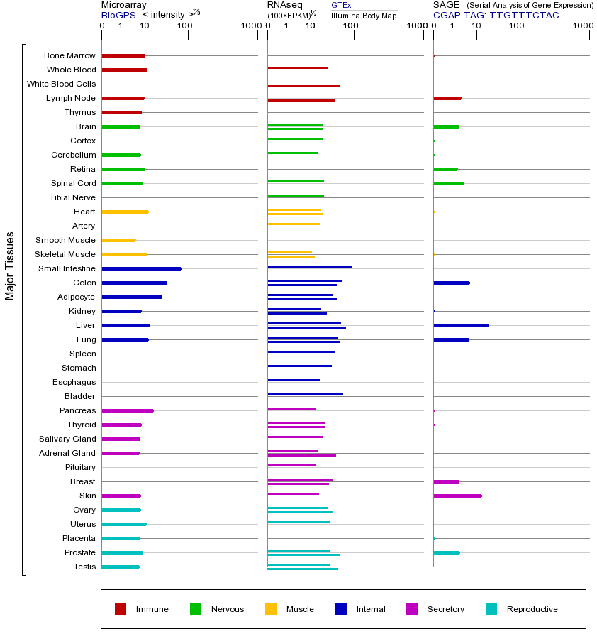 基因在不同组织中的表达图