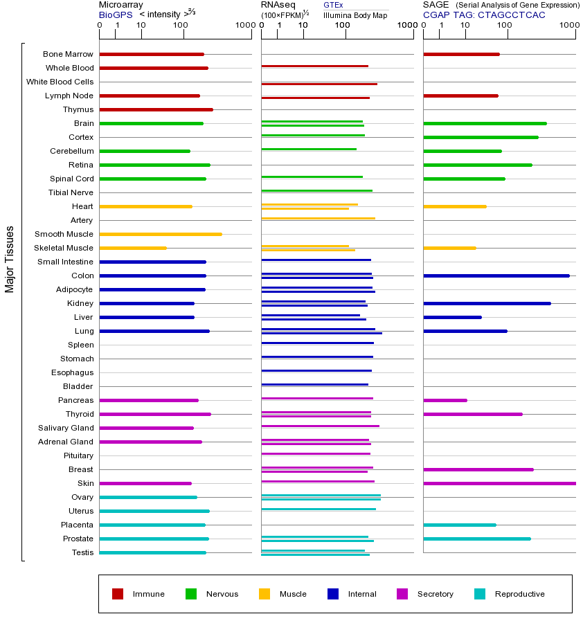 基因在不同组织中的表达图