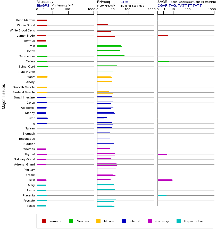 基因在不同组织中的表达图