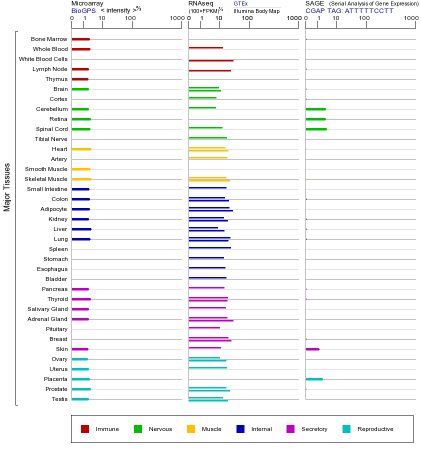 基因在不同组织中的表达图