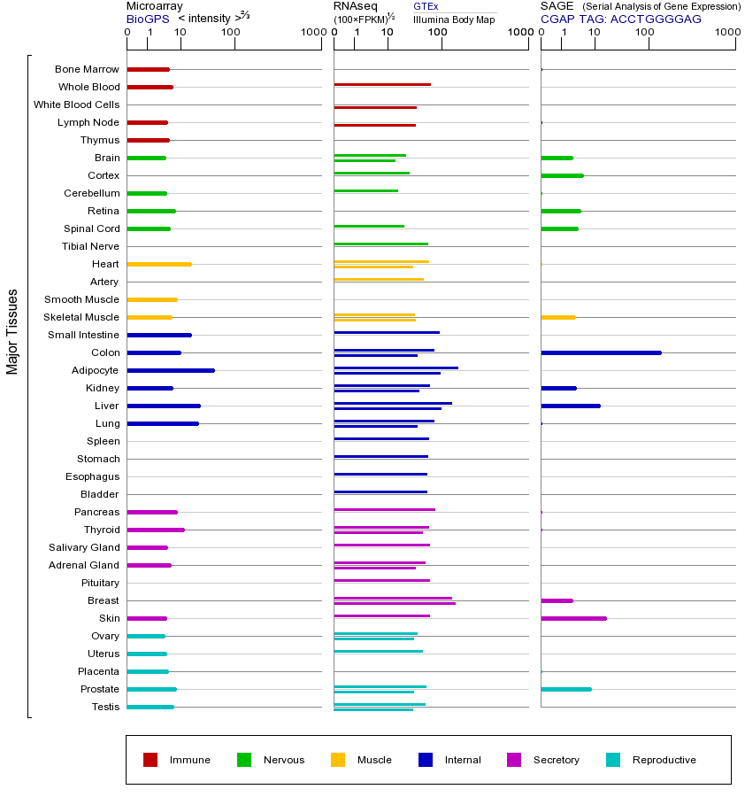 基因在不同组织中的表达图