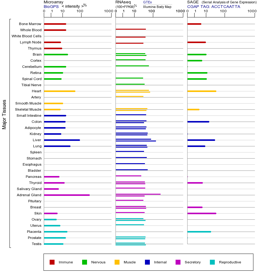基因在不同组织中的表达图