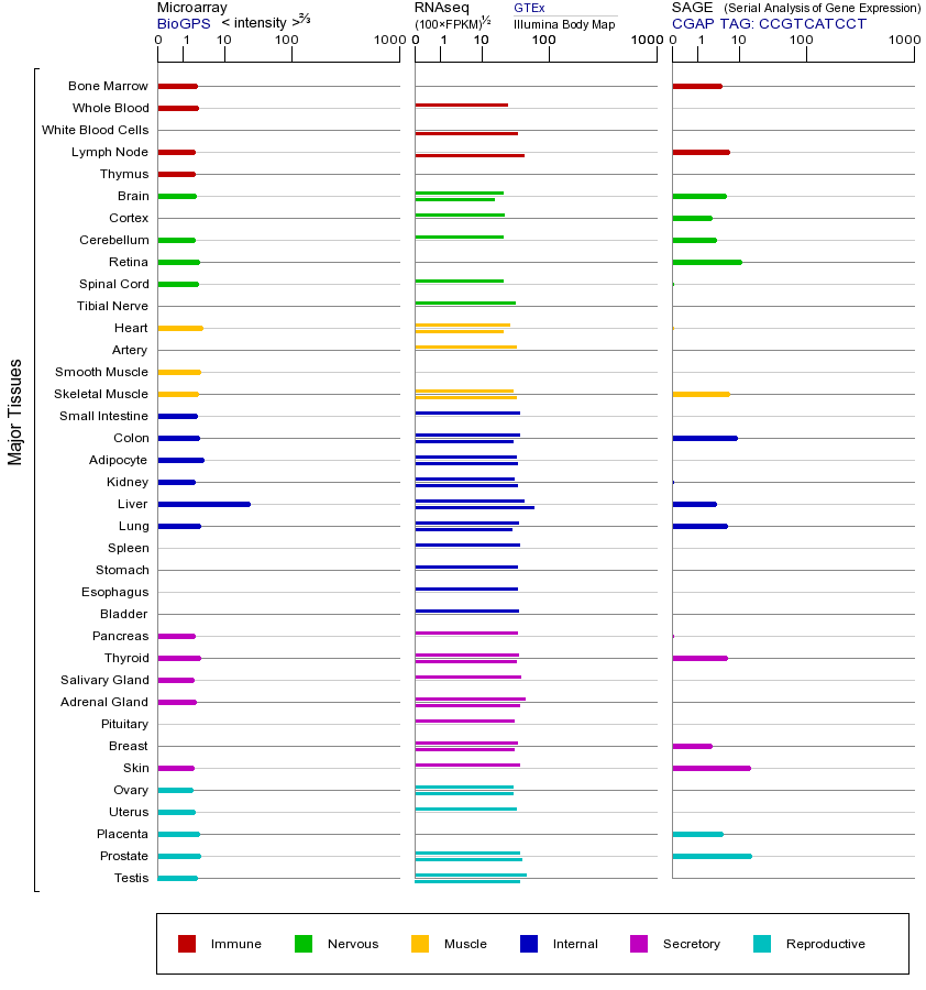 基因在不同组织中的表达图