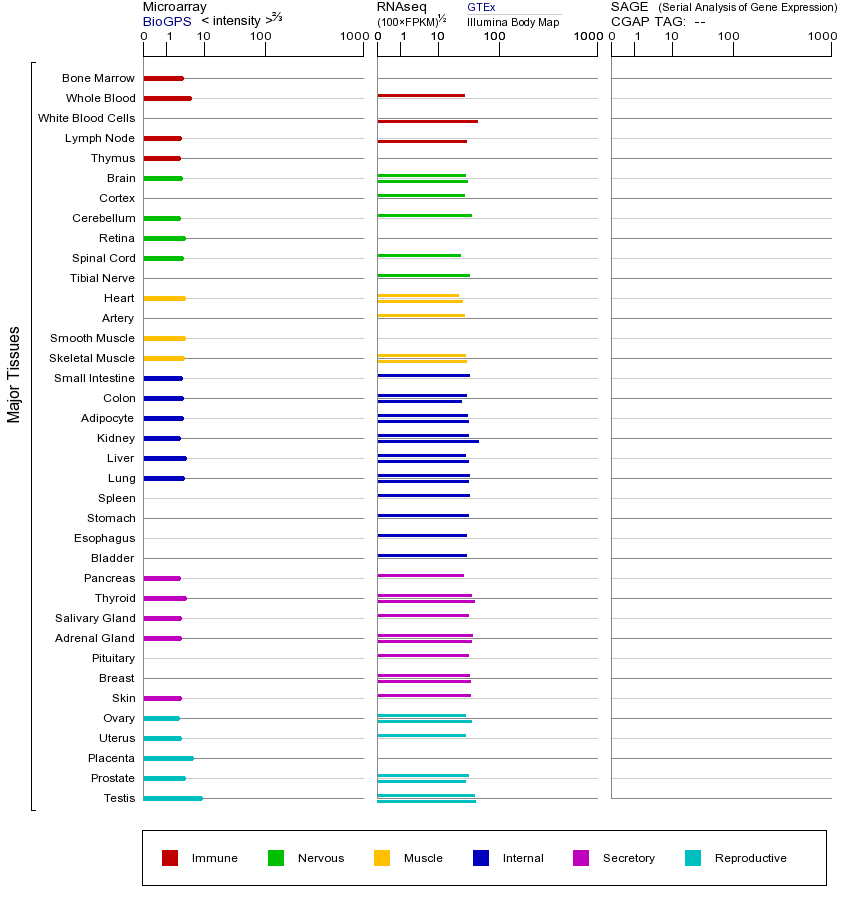 基因在不同组织中的表达图