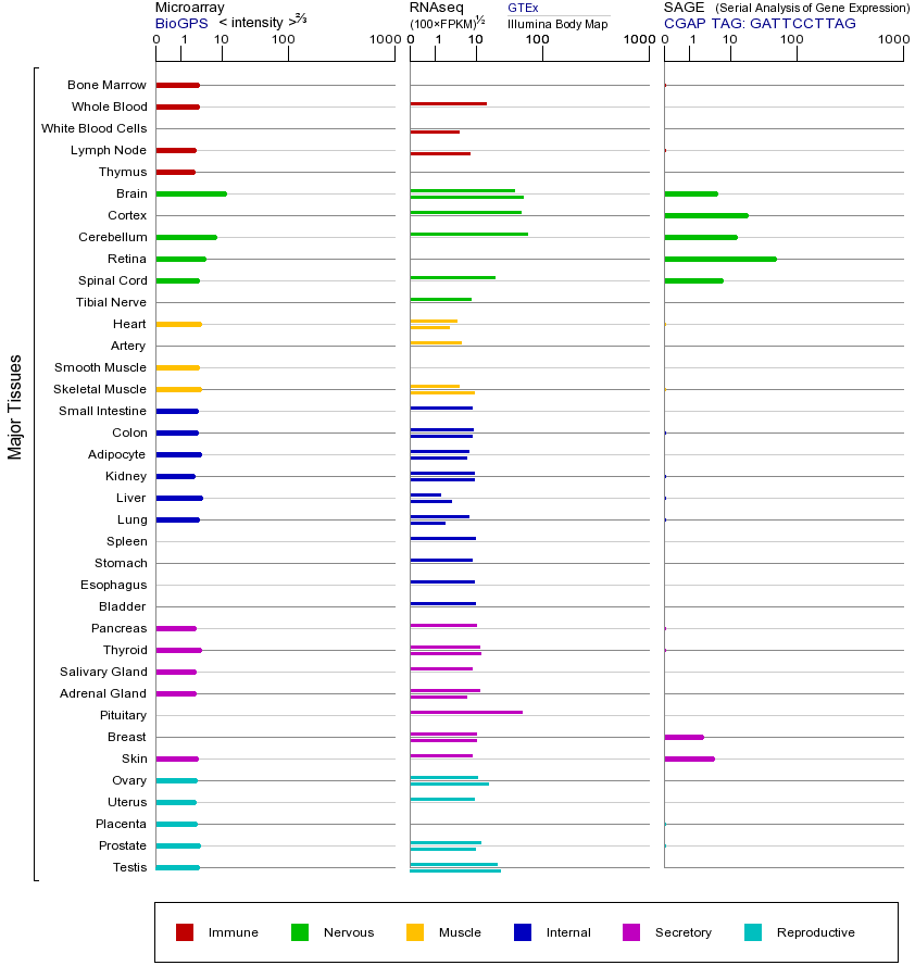 基因在不同组织中的表达图