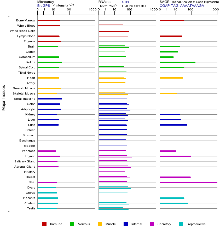 基因在不同组织中的表达图