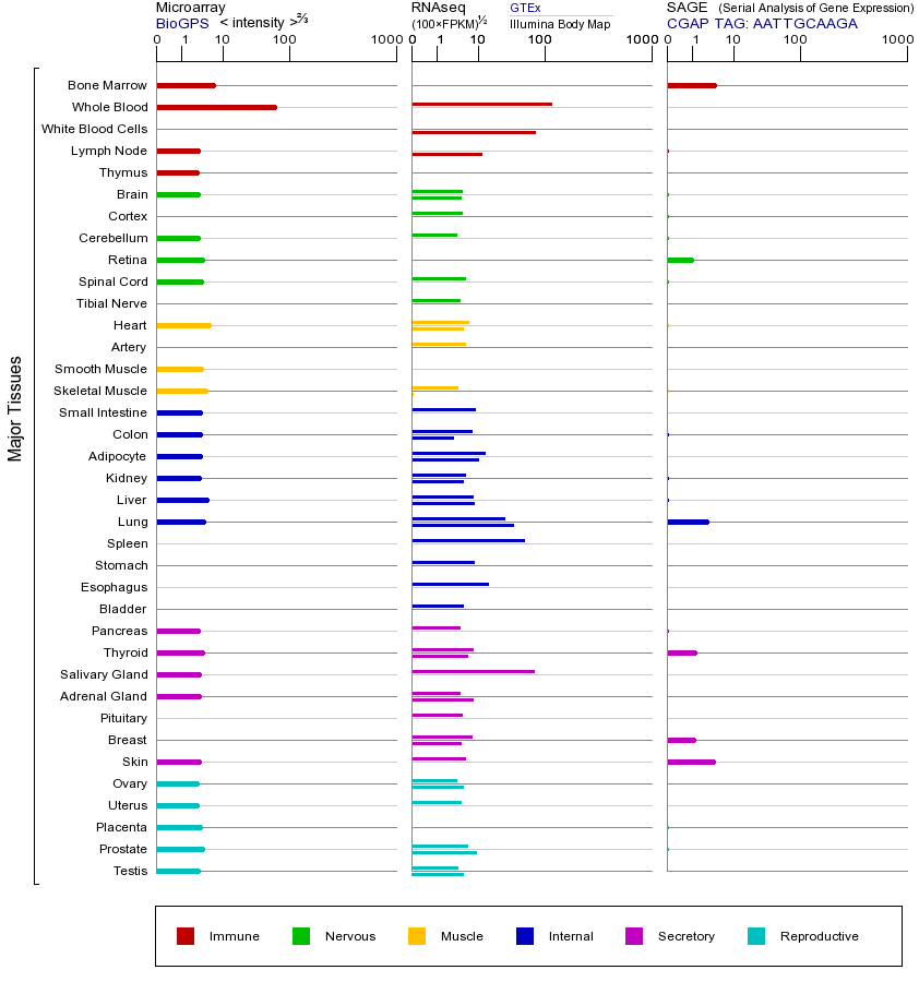 基因在不同组织中的表达图