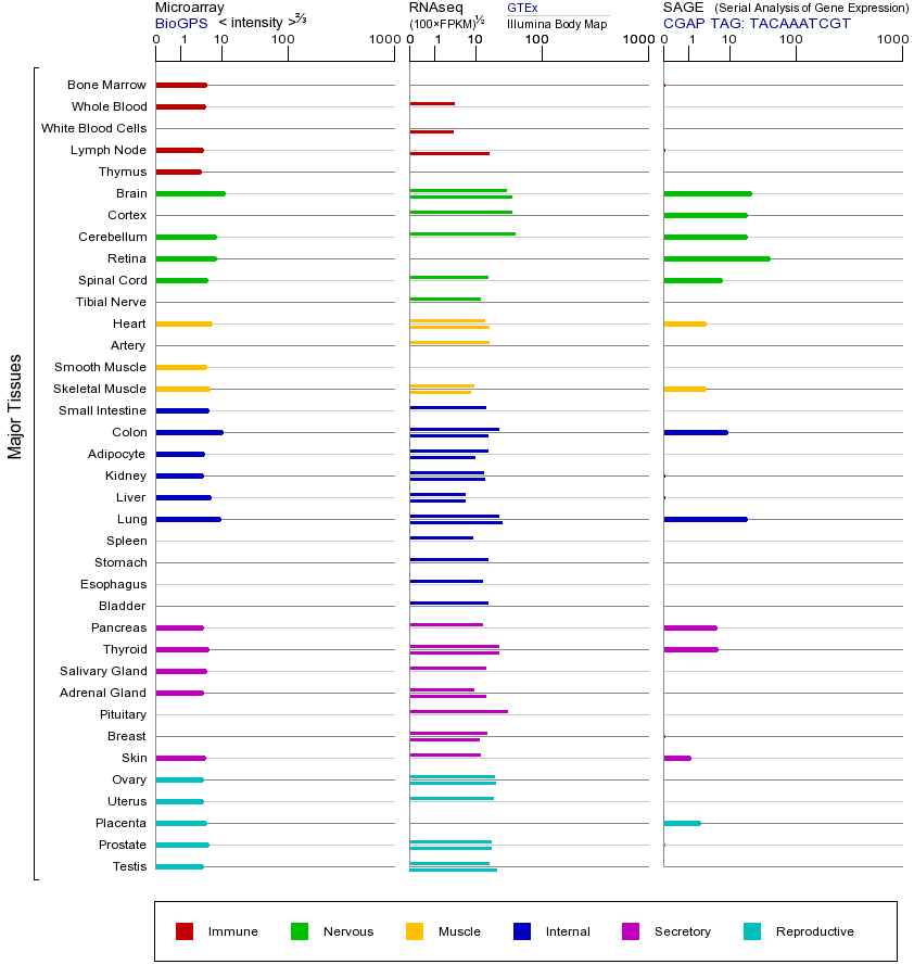 基因在不同组织中的表达图