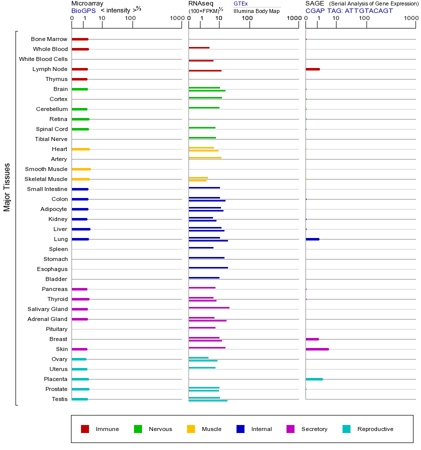 基因在不同组织中的表达图