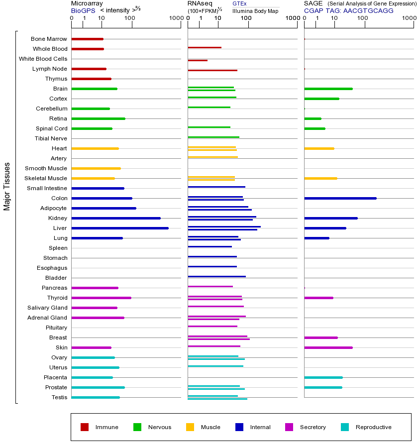 基因在不同组织中的表达图