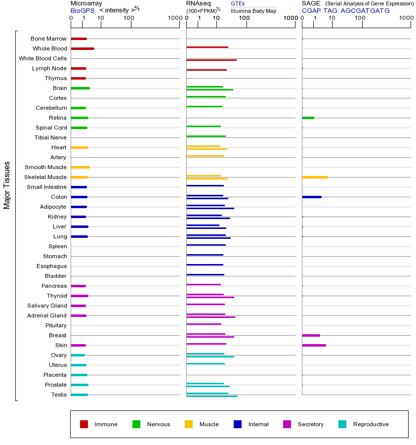 基因在不同组织中的表达图