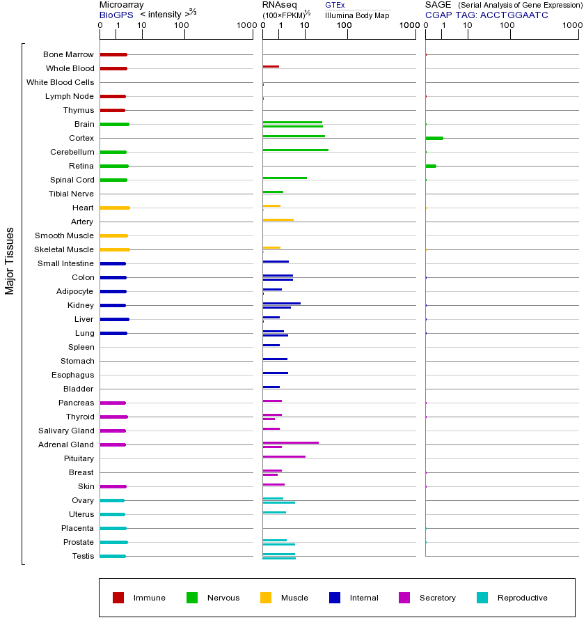 基因在不同组织中的表达图