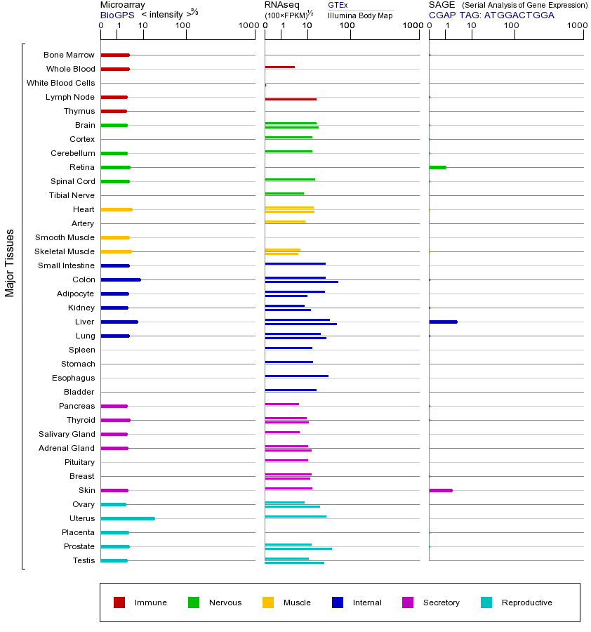 基因在不同组织中的表达图