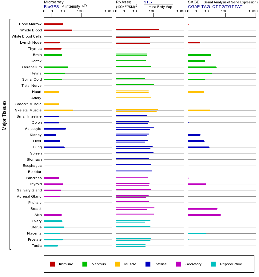 基因在不同组织中的表达图