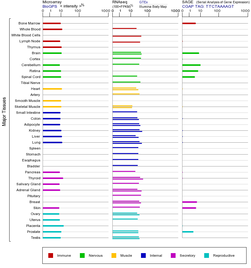 基因在不同组织中的表达图