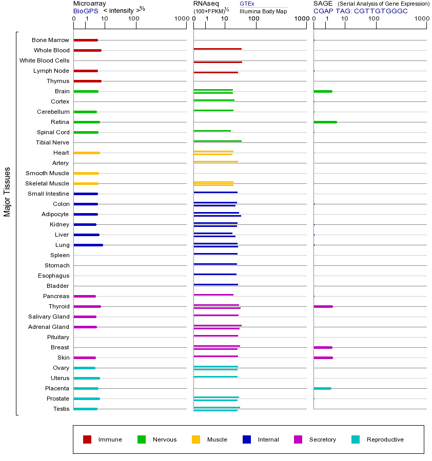 基因在不同组织中的表达图