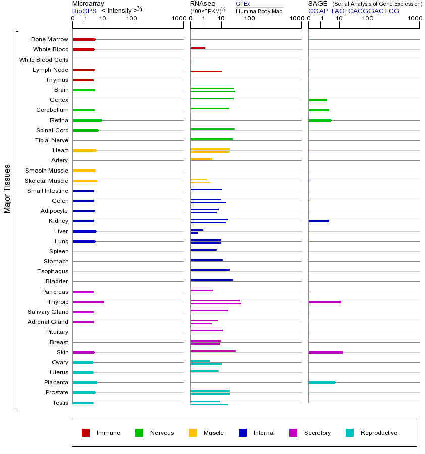 基因在不同组织中的表达图
