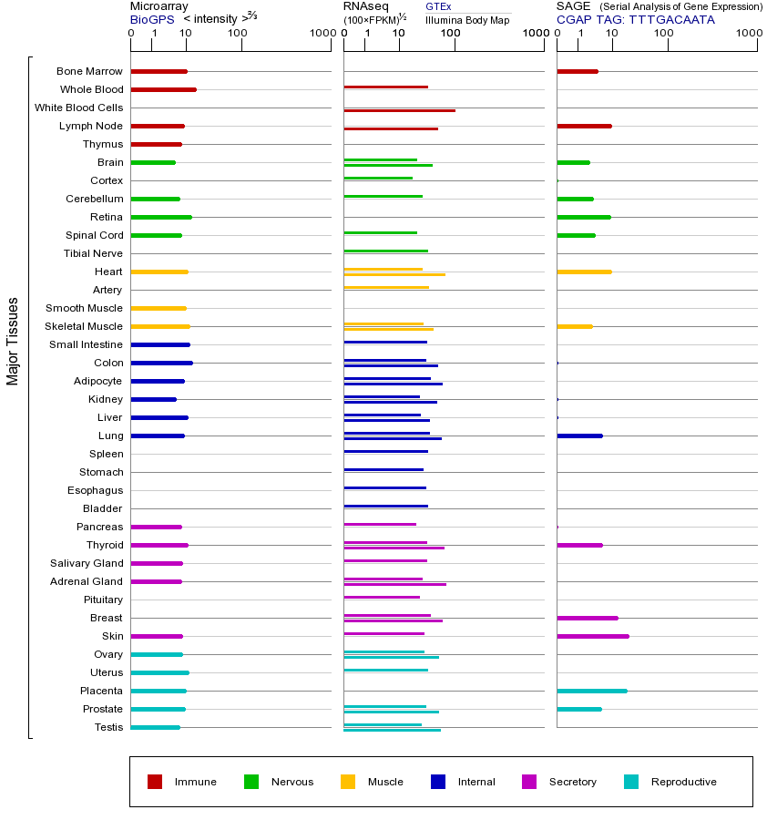 基因在不同组织中的表达图
