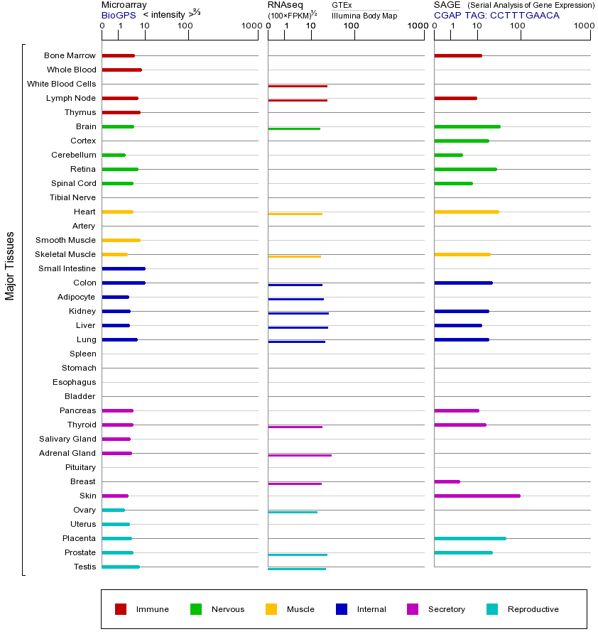基因在不同组织中的表达图