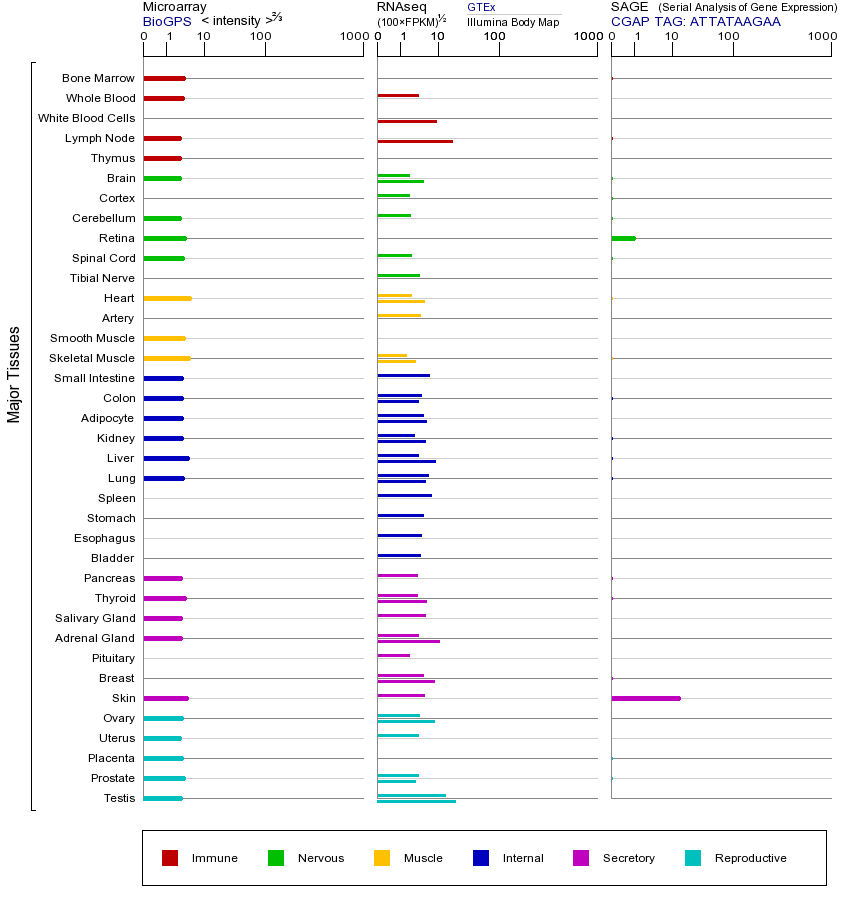 基因在不同组织中的表达图
