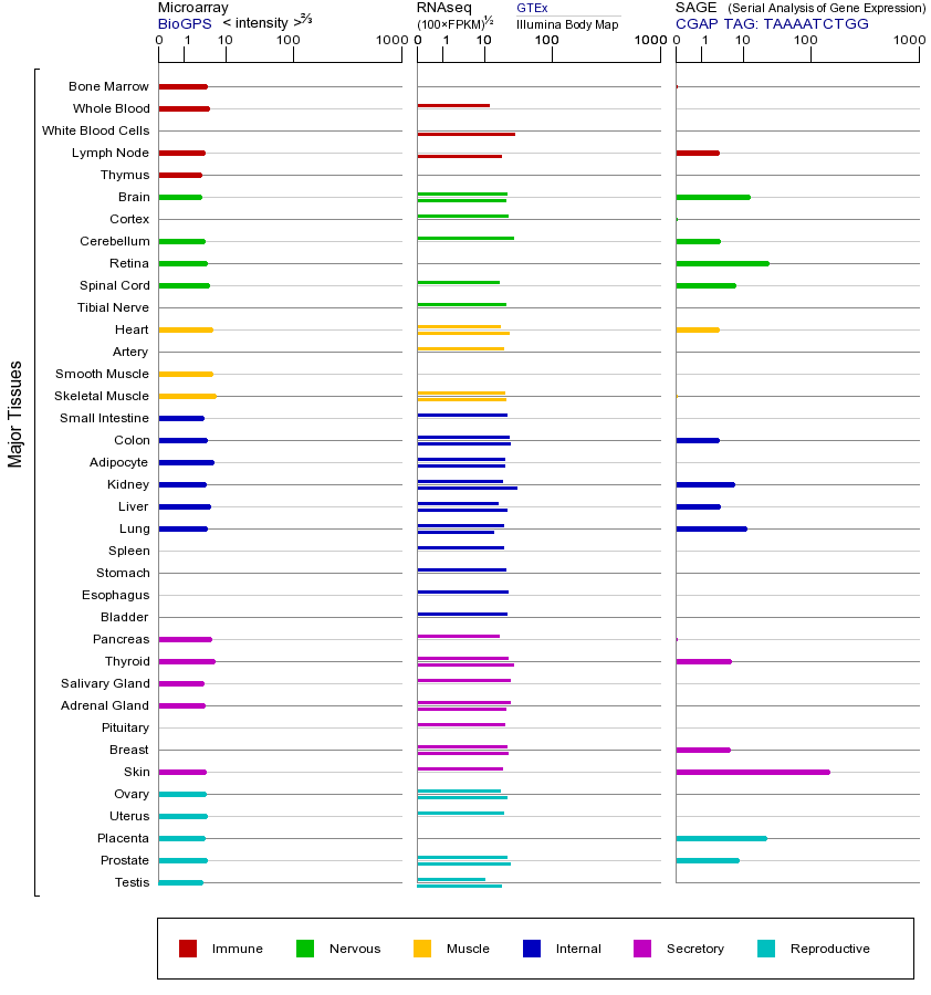 基因在不同组织中的表达图
