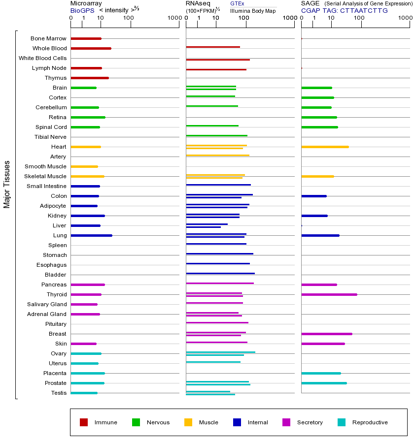 基因在不同组织中的表达图