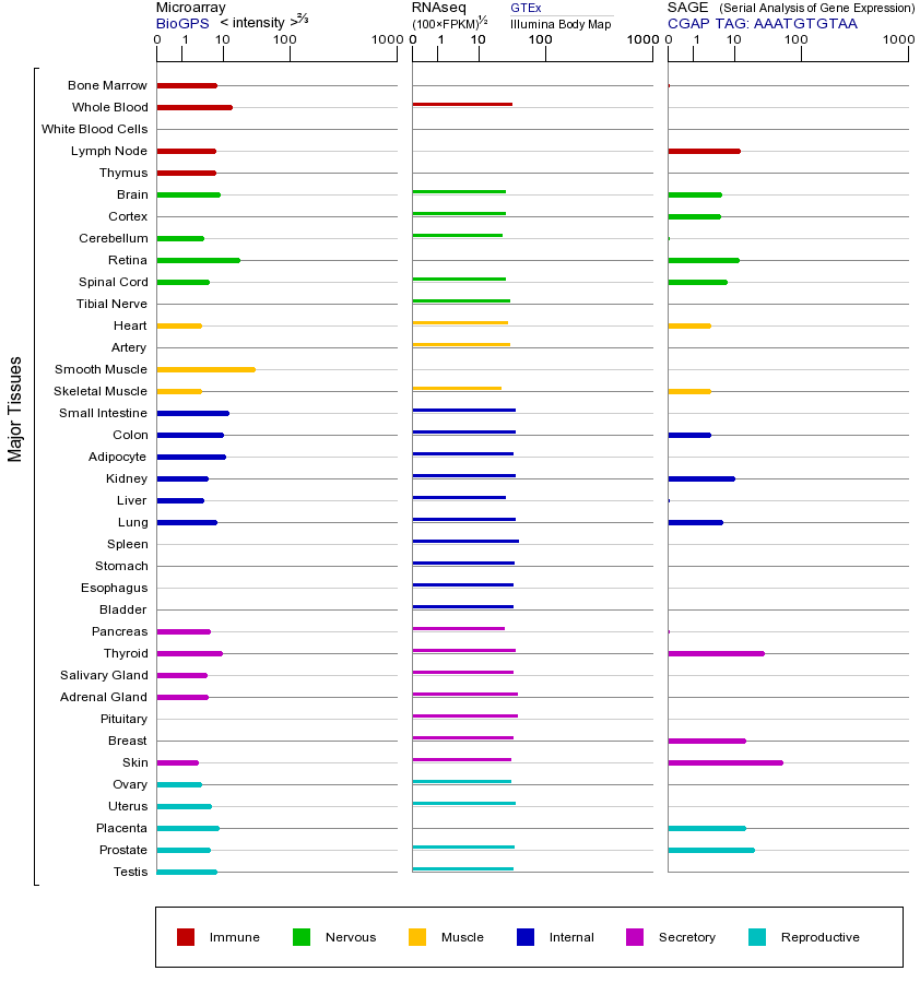 基因在不同组织中的表达图