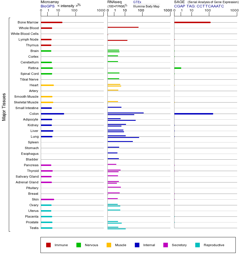 基因在不同组织中的表达图