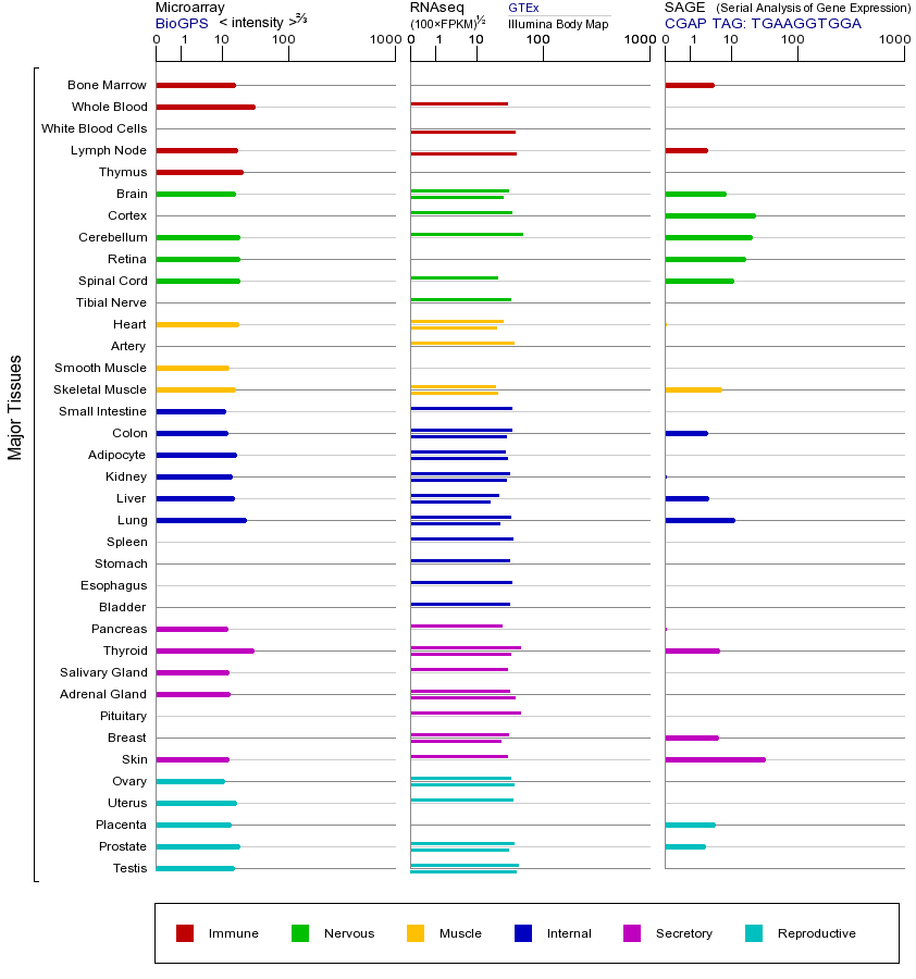基因在不同组织中的表达图