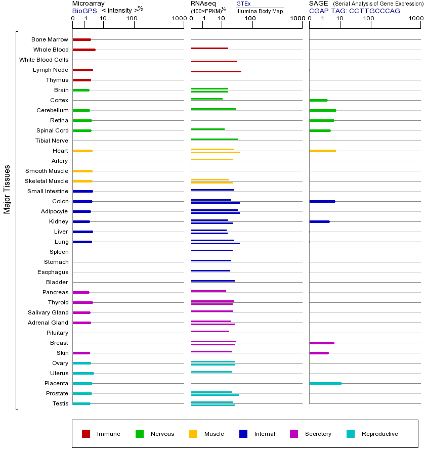 基因在不同组织中的表达图